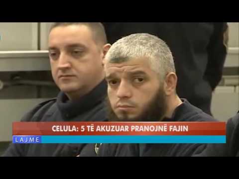 CELULA - 5 TË AKUZUAR PRANOJNË FAJIN