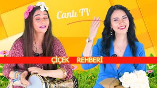Çiçek Rehberi