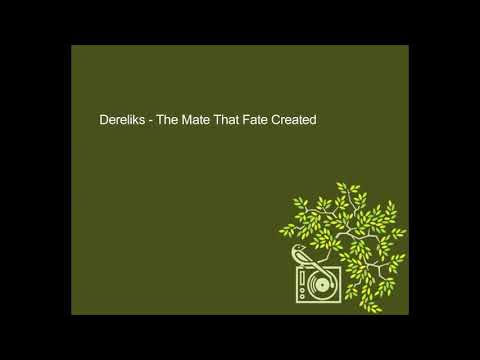 Dereliks - The Mate That Fate Created (1995)