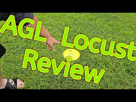 Above Ground Level Disc Golf- Locust- Review