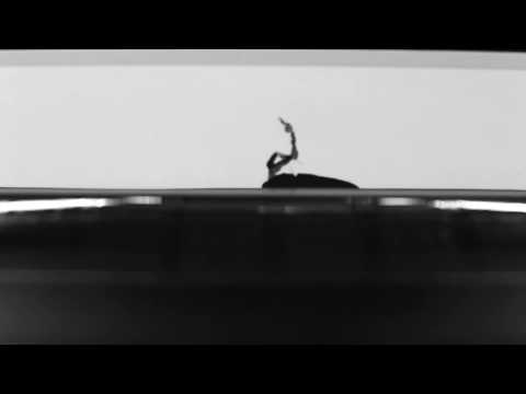 Wolfgang Tillmans - Make It Up As You Go Along (Daniel Wang & J.E.E.P. Remix)