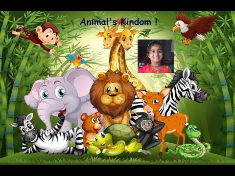 Animals kindom !!