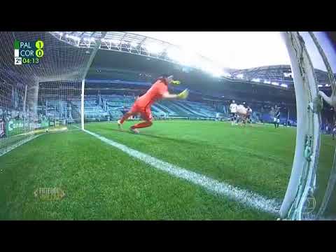 Palmeiras Campeão Paulista 2020 -  Gol Luiz Adriano