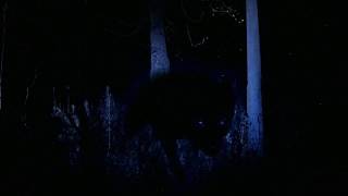 Silentivm - At The Cabin