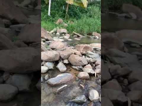 Las cascada del niagara