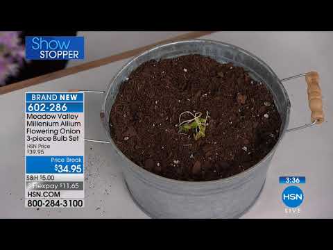 HSN | Lawn & Garden 03.09.2018 - 05 PM