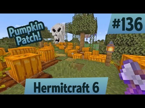 Pumpkin patch! — Hermitcraft 6 ep 136