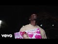 Chronic Law Collect Di Bred CRY Official Video