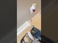 Graco Ultra Cordless