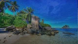 I'll Take Care of You by Ronnie Milsap