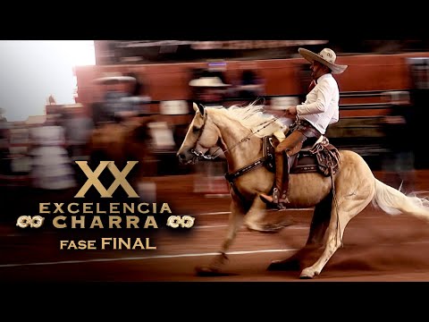 1st place CHAMPION Intermediate Caladero Futurity - David Cordoba - EXCELENCIA CHARRA Circuit XX ...