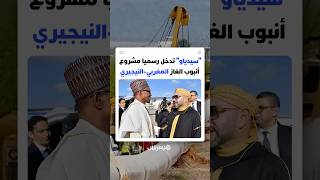 "سيدياو" تدخل رسميا مشروع أنبوب الغاز المغربي-النيجيري thumbnail