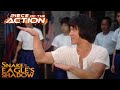 Snake In The Eagle S Shadow Chien Jackie Chan Fights To Defend His Master