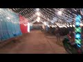 Jungle Tent House
