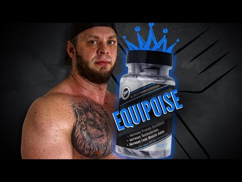 Hi Tech Equipoise: Extreme Hunger Makes Easy Gains