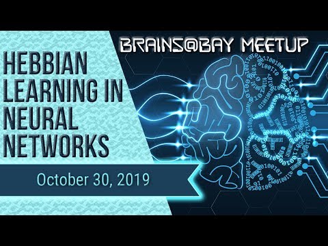 Hebbian Learning: The Neuroscience of Adaptive Intelligence