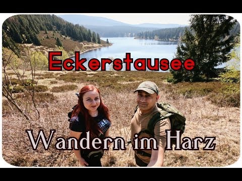 Wandern im Harz: Rundweg Eckerstausee / Eckertalsperre