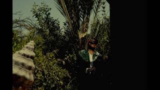 كلمات اغنية ناس نوبي