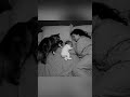Loyal Cat Brings Her Kitten to Sleep Beside the Baby — Pure Love ❤️ #cat