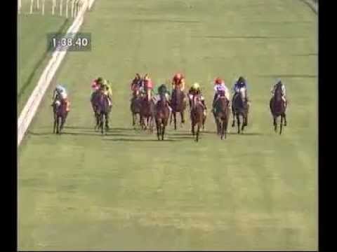 Premio Parioli 2013 (GRUPPO 3)