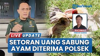 Fakta Baru soal Kasus Judi Sabung Ayam, Ternyata Polsek dan Koramil Sudah 1 Tahun Bagi-bagi Hasil