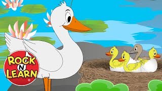 The Ugly Duckling Song