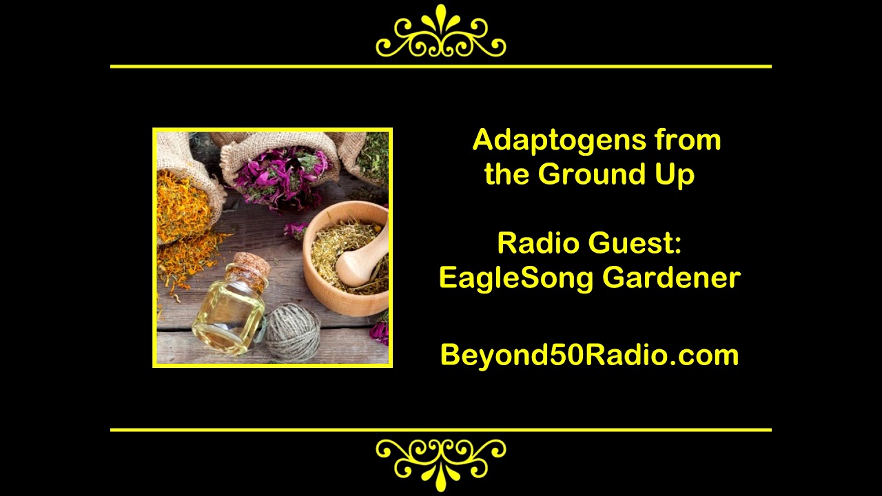 Adaptogens from the Ground Up - YouTube