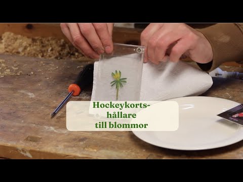 Hockey card holder for dried flowers - Gardenhacks by GardenR