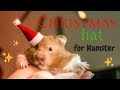 DIY Christmas Hat For Hamster