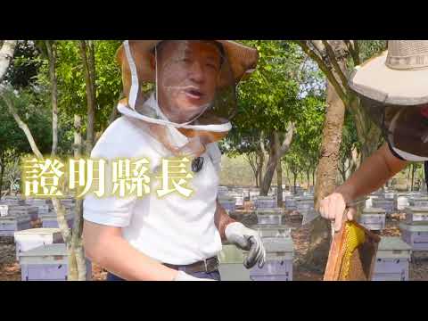 嘉義優鮮蜜蜂