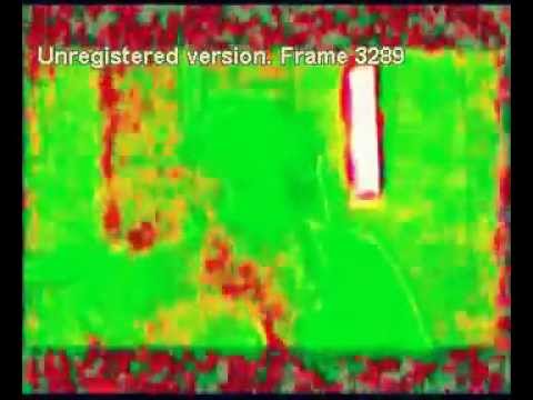 adi ran בערב כשהלכתי