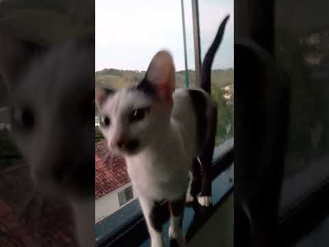 Visual da cidade de Carmo de Minas -MG