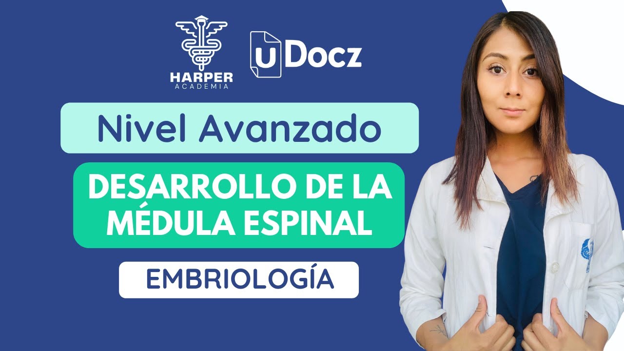 Desarrollo de Médula Espinal con Harper Academia & uDocz 📚| Nivel Avanzado