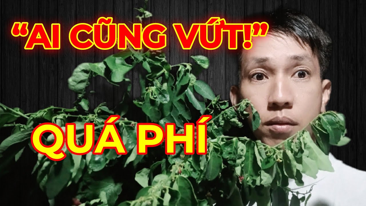 “99% người bỏ đi thứ này mà không biết…”