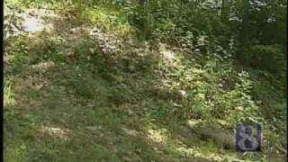 Wild Moments: Snake Myths Debunked