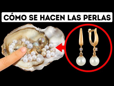 Las ostras hacen perlas para sobrevivir, he aquí el porqué