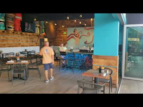 Touring St Petersburg's Maximo Marina (3)