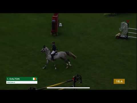 Unicum-H- 2020 Stallion (President X Cicero Z van Paemel)