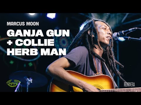 Marcus Moon - Ganja Gun + Collie Herb Man (Covers w/ Lyrics) - Kaya Sesh