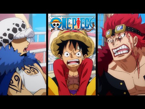 Luffy, Kid and Law Fight Over Directions | One Piece