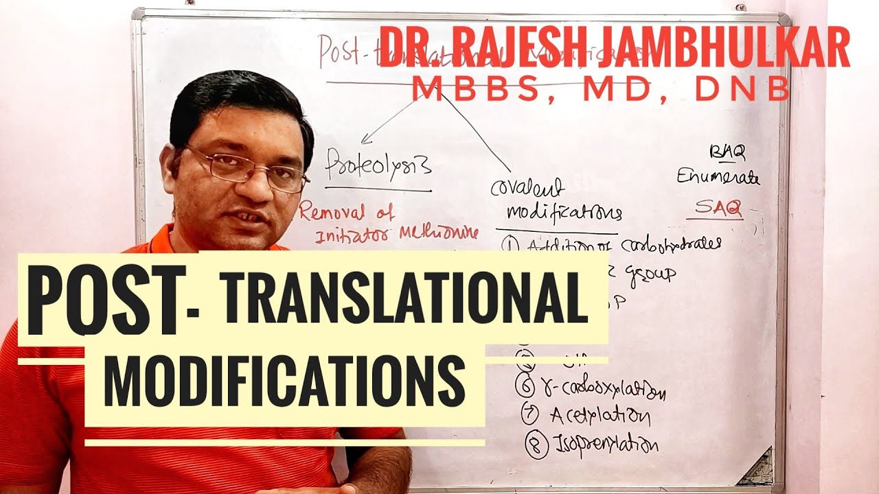 7. Post-translational Modifications