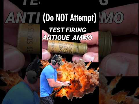 Wildcat | Reliable Ammo for Hunting and Plinking | Winchester Ammunition