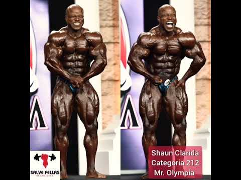 SHAUN CLARIDA MOST MUSCULAR! #shaunclarida #212 #bodybuilding #shorts #mrolympia #bodybuilder