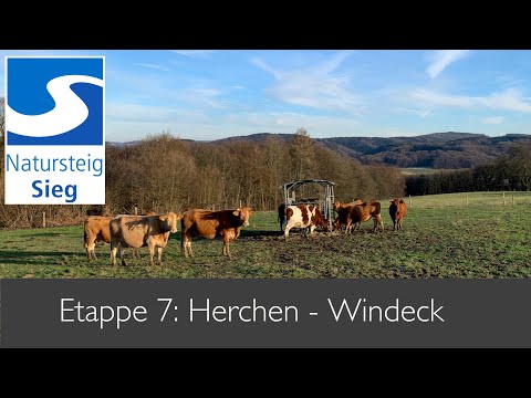 Natursteig Sieg mit Hund - Etappe 7: Von Herchen nach Schladern (23 km)