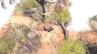 Watch and explore about Paperbark EU PC Steam CD Key