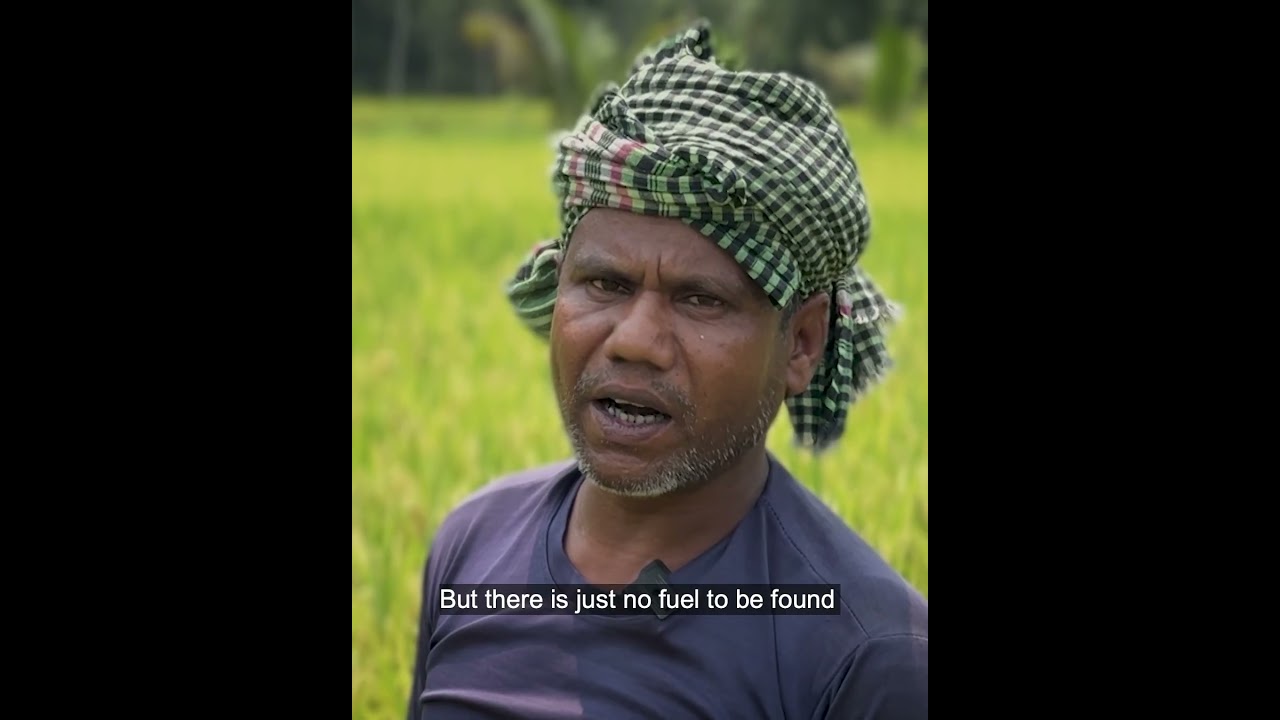 সময় দিতে পারছেন না ক্ষেতে, কঠিন হচ্ছে কৃষকের টিকে থাকার লড়াই