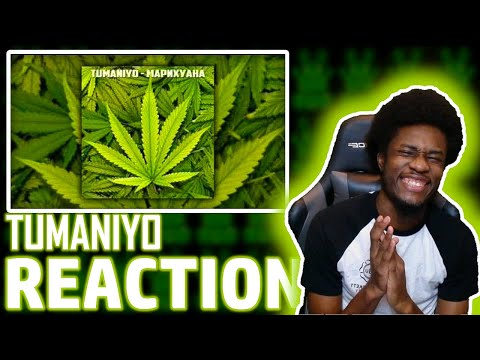 TumaniYO - Марихуана [UK REACTION] | MLC Music