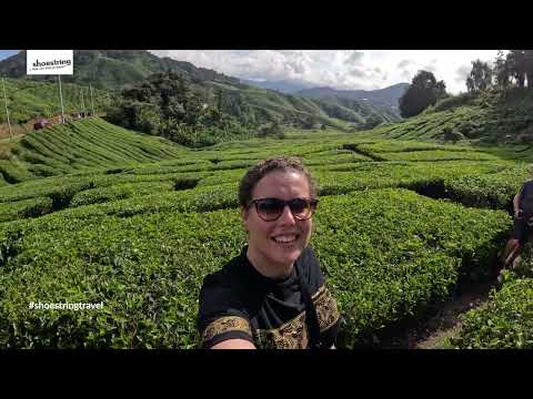 Sfeerimpressie (film)