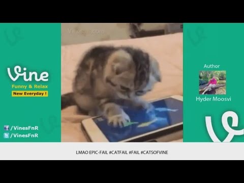 Hot viral video - Cat fails very funny - best funny cats fails compilation | funny cat videos 2017