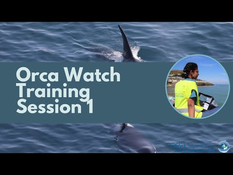 Orca Watch 2022 Training Session 1